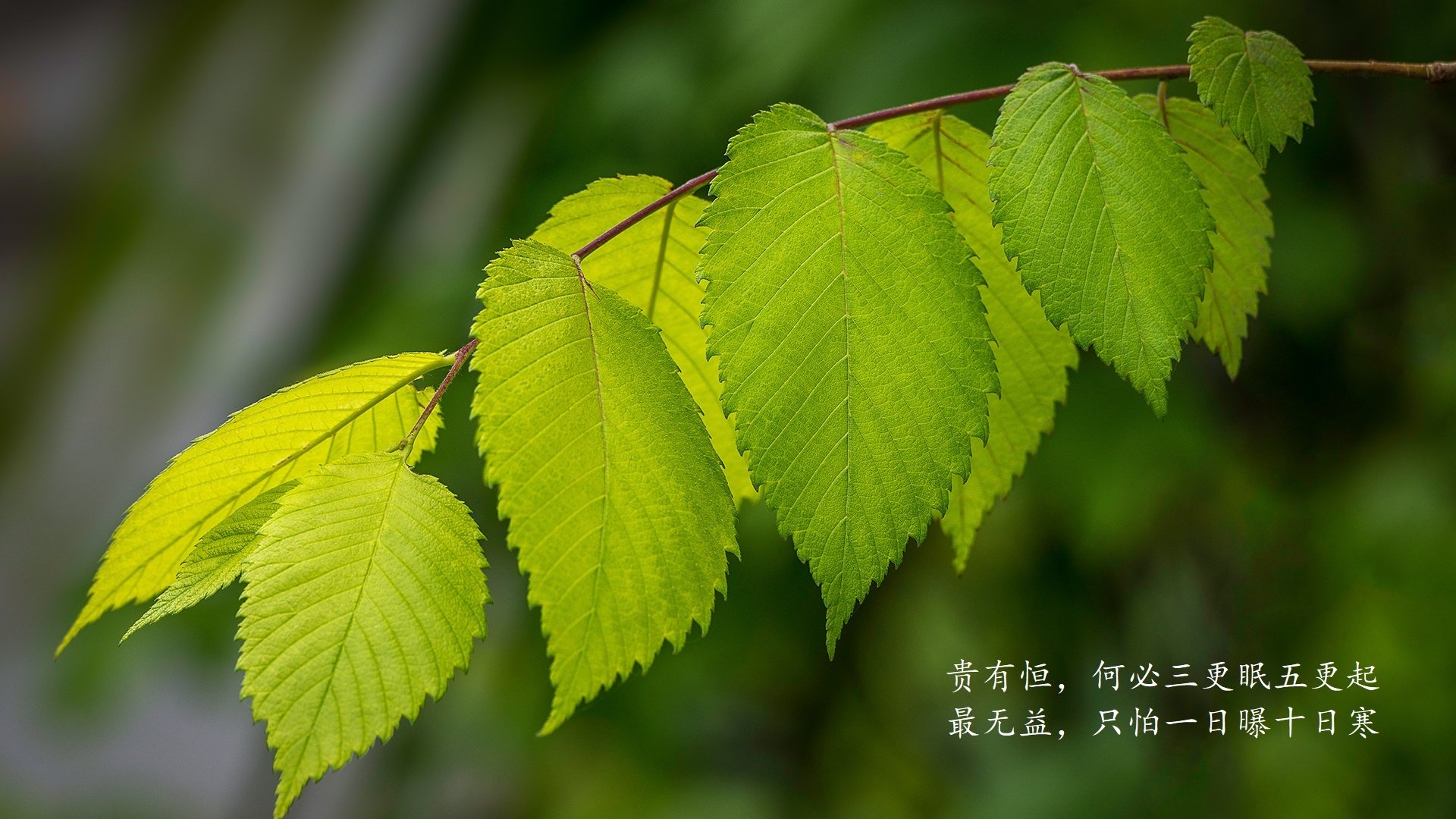 未来足球战术大揭秘：科技如何改变比赛？，足球战术发展趋势