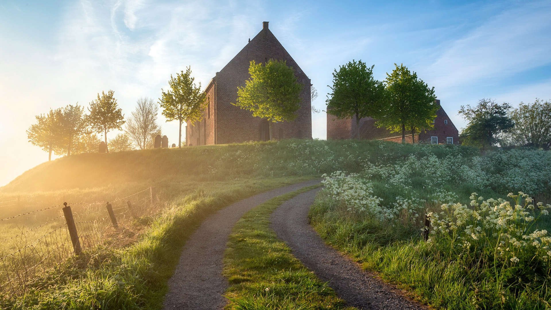 瑞典队未来:如何建立更具竞争力的国际品牌,瑞典队分析