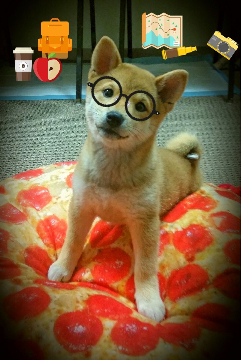 赛事门票一售而空，举办城市迎来球迷潮，买球赛门票的网站哪个好